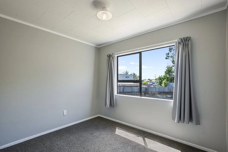 Photo of property in 96a Mako Mako Road, Levin, 5510