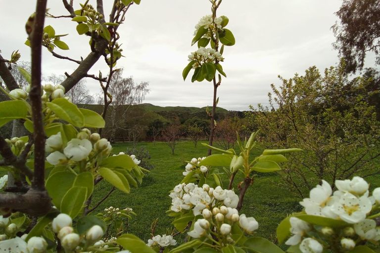 Photo of property in 967 Leader Road West, Waiau, Cheviot, 7384