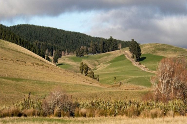 Photo of property in 125-127 Bell Road, Waiwhetu, Lower Hutt, 5010