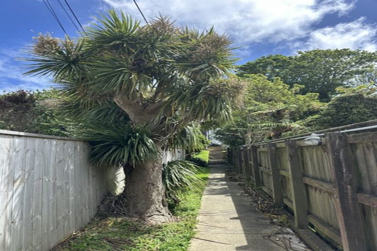 Photo of property in 158a Ohiro Road, Brooklyn, Wellington, 6021