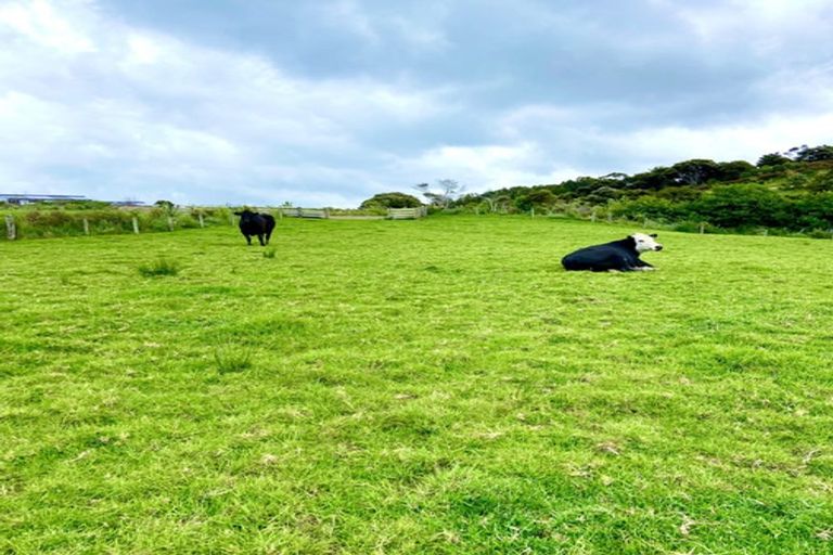 Photo of property in 68 Spioenkop Road, Mangawhai, 0573