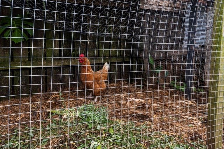 Photo of property in 576 State Highway 14, Maunu, Whangarei, 0179