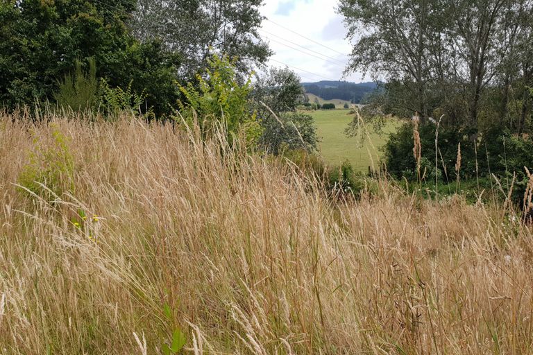 Photo of property in 561 Palmerston-waikouaiti Road, Goodwood, Palmerston, 9481