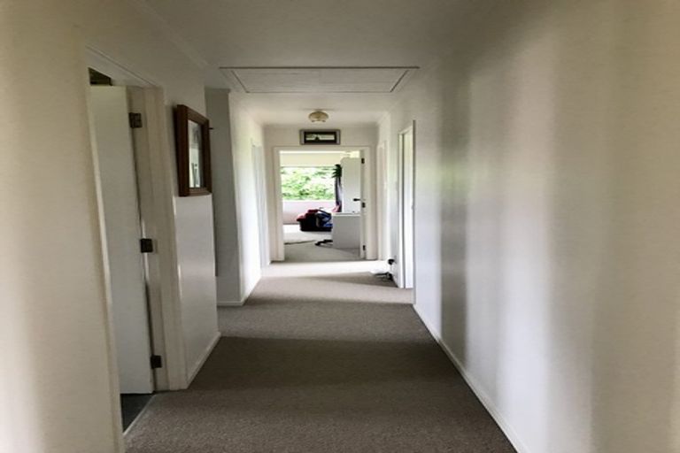 Photo of property in 56 Scottys Camp Road, Parore, Dargaville, 0373