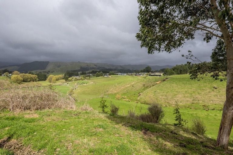 Photo of property in 91 Buckley Road, Shannon, Palmerston North, 4474