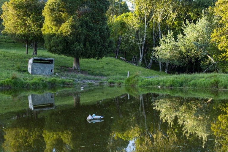 Photo of property in 749 Kanakanaia Road, Te Karaka, 4091