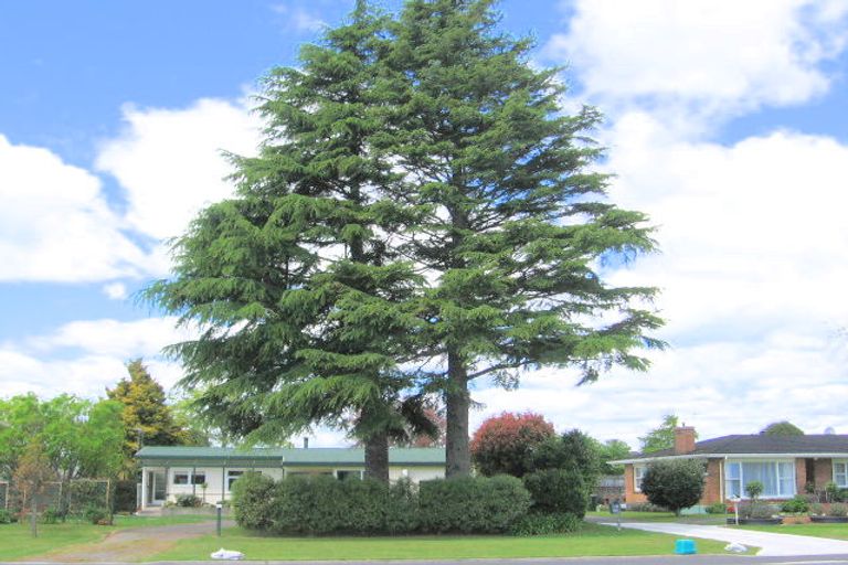 Photo of property in 26a Burwood Road, Matamata, 3400