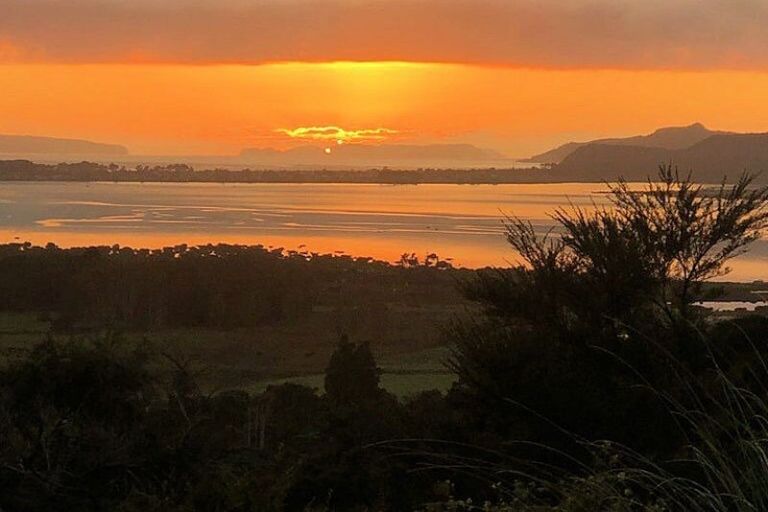 Photo of property in 1216 Whangapoua Sh25 Road, Te Rerenga, Coromandel, 3582