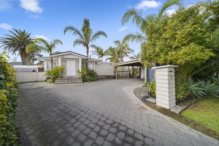 Photo of property in 12 Raewyn Place, Pakuranga, Auckland, 2010