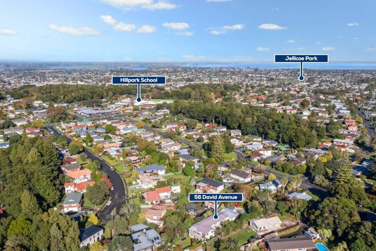 Photo of property in 56 David Avenue, Hillpark, Auckland, 2102