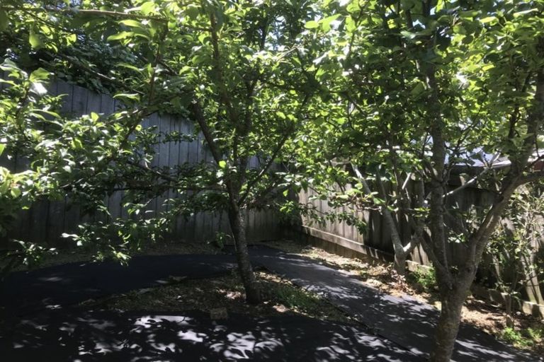 Photo of property in 66b Volga Street, Island Bay, Wellington, 6023