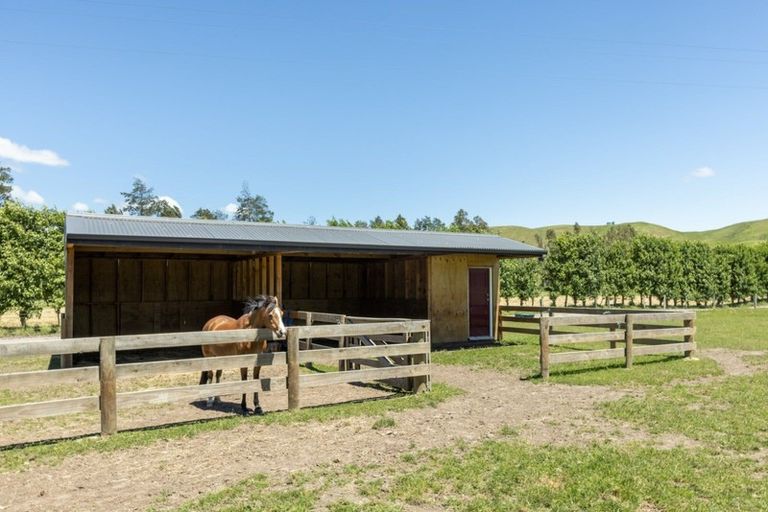 Photo of property in 1212 Ohiti Road, Crownthorpe, Hastings, 4179