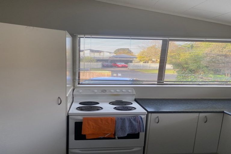 Photo of property in 4 Pearl Place, Chartwell, Hamilton, 3210