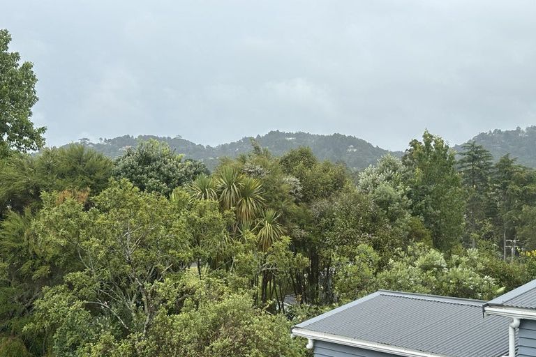 Photo of property in 30 Atkinson Road, Titirangi, Auckland, 0604