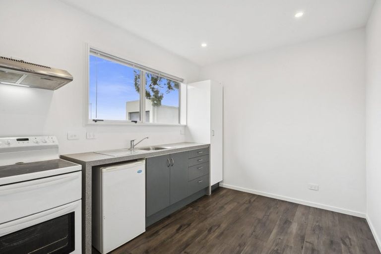 Photo of property in 205 Dukes Road North, Mosgiel, 9092