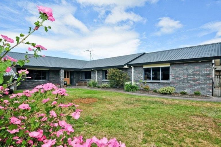 Photo of property in 12 Discovery Drive, Flagstaff, Hamilton, 3210