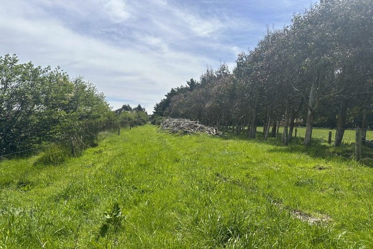 Photo of property in 187 Curran Road, Otatara, Invercargill, 9879