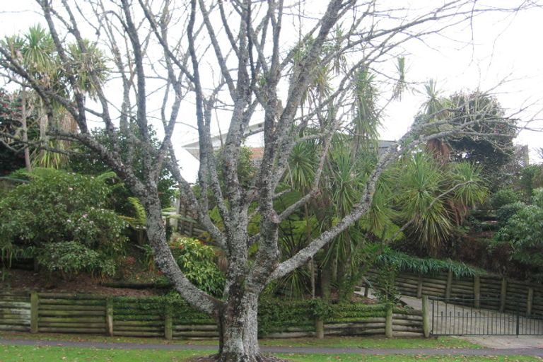 Photo of property in 25 Mcnicol Street, Fairfield, Hamilton, 3214