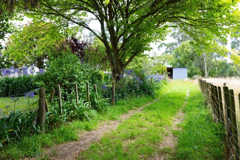 Photo of property in 21 Bevan Street, Woodville, 4920