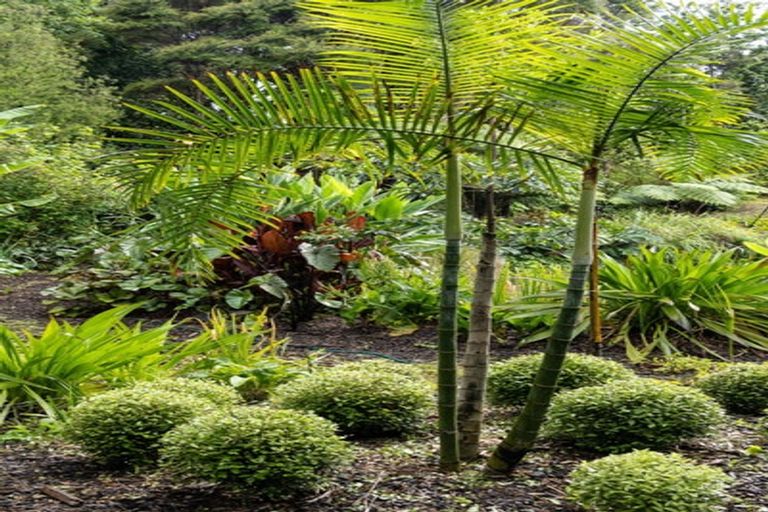 Photo of property in 118 Ngarara Road, Waikanae, 5036