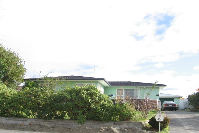 Photo of property in 45 Westminster Avenue, Tamatea, Napier, 4112