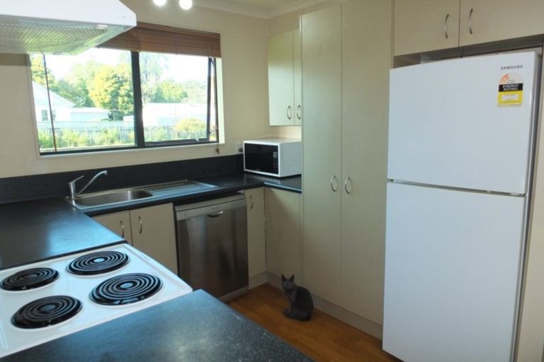 Photo of property in 48 Norbiton Road, Foxton, 4814