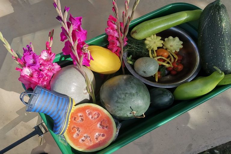 Photo of property in 122-126 Supplejack Valley Road, Upper Moutere, 7173