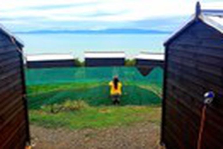 Photo of property in 13 Pohue Creek Road, Ruamahunga, Thames, 3575