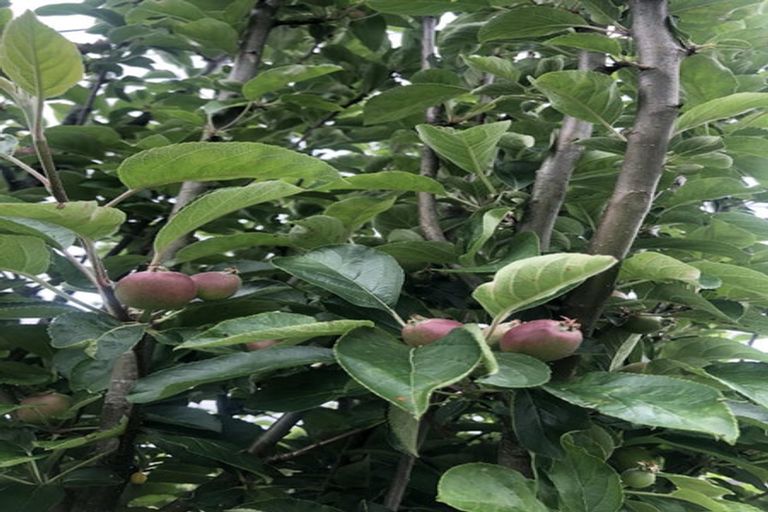 Photo of property in 175 Wainuiomata Road, Wainuiomata, Lower Hutt, 5014