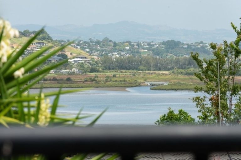 Photo of property in 38 Rewarewa Place, Matua, Tauranga, 3110