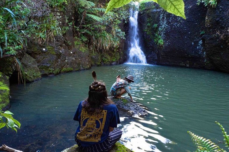 Photo of property in 132 Lone Kauri Road, Karekare, New Lynn, 0772