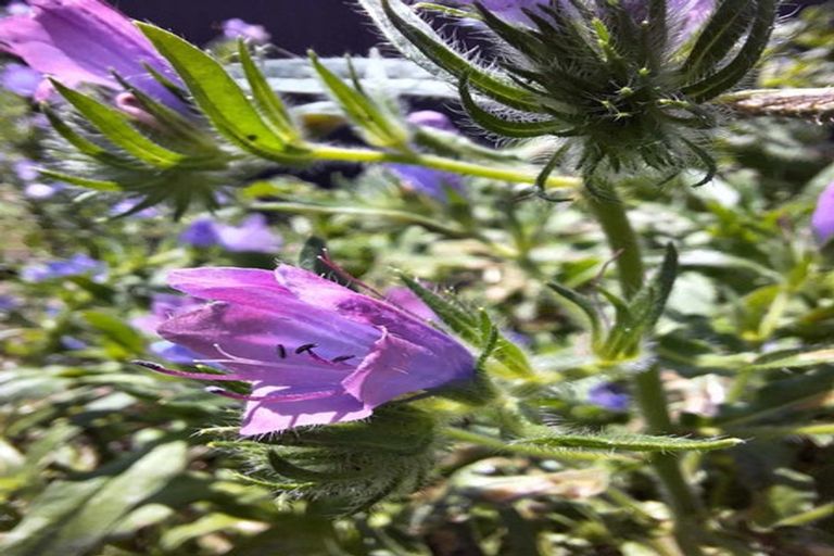 Photo of property in 187 Crawford Road, Kaiti, Gisborne, 4010