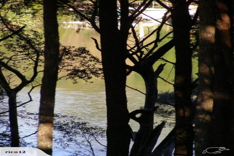 Photo of property in 19 James Kemp Place, Kerikeri, 0230