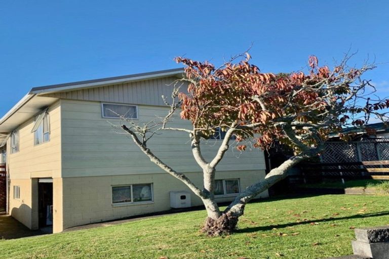 Photo of property in 32 Ihaia Street, Waitara, 4320