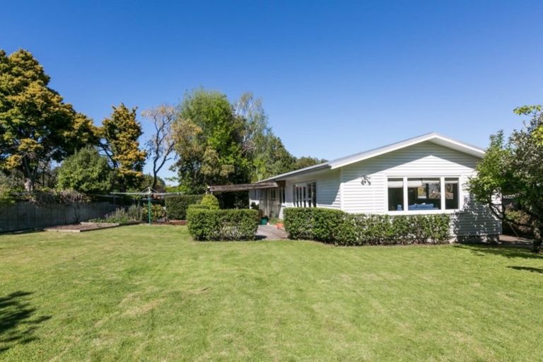 Photo of property in 4 Phillips Place, Havelock North, 4130