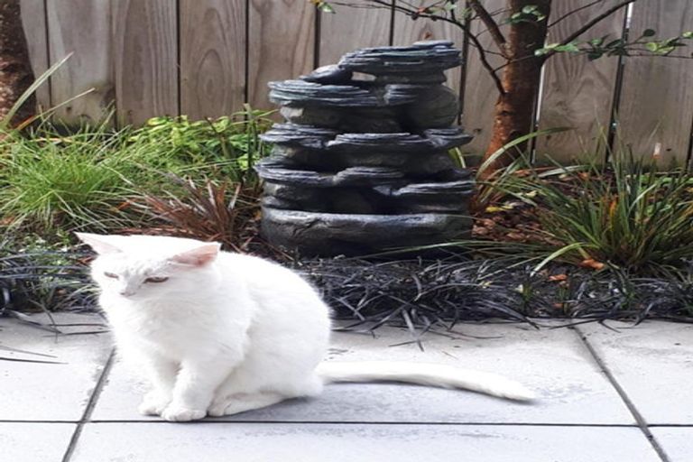 Photo of property in 9 Bowers Lane, Motueka, 7120