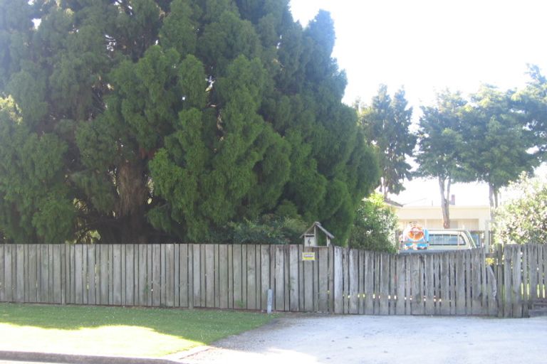 Photo of property in 6 Ward Street, Te Kuiti, 3910
