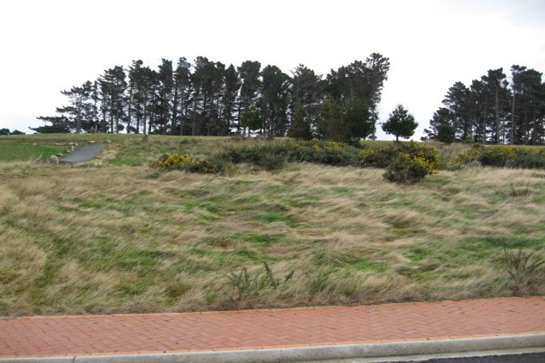 Photo of property in 20 Highgrove, Saint Clair, Dunedin, 9012