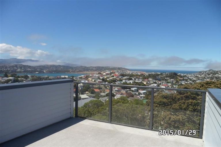 Photo of property in 111 Rakau Road, Hataitai, Wellington, 6021