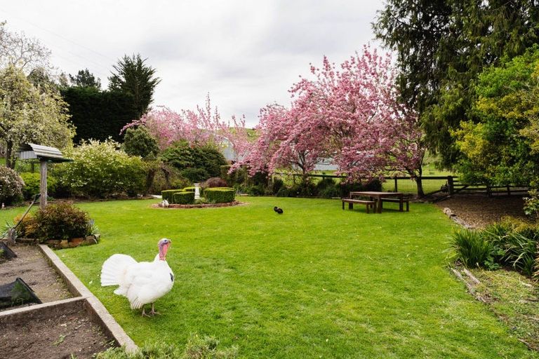 Photo of property in 108 Limeworks Road, Circle Hill, Milton, 9291