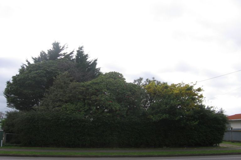 Photo of property in 18 Mako Mako Road, Levin, 5510