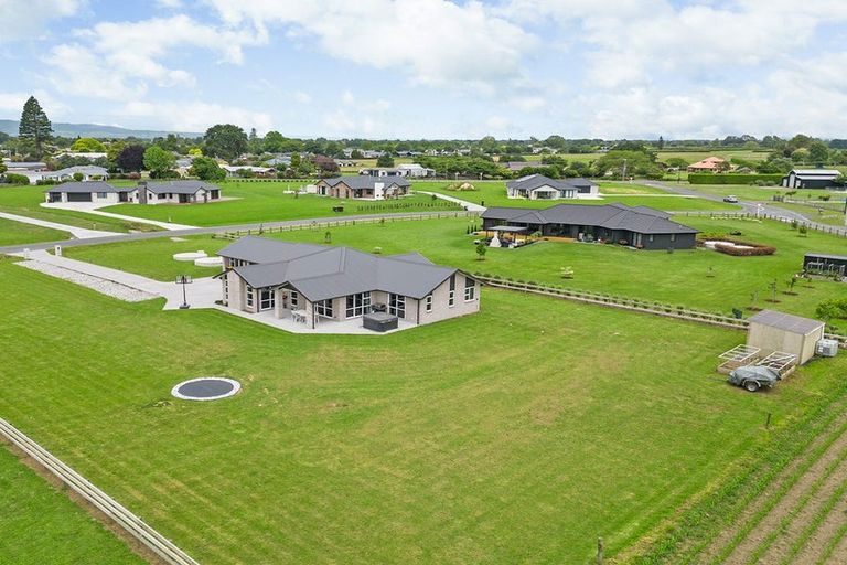 Photo of property in 15 Aranui Road, Matamata, 3472