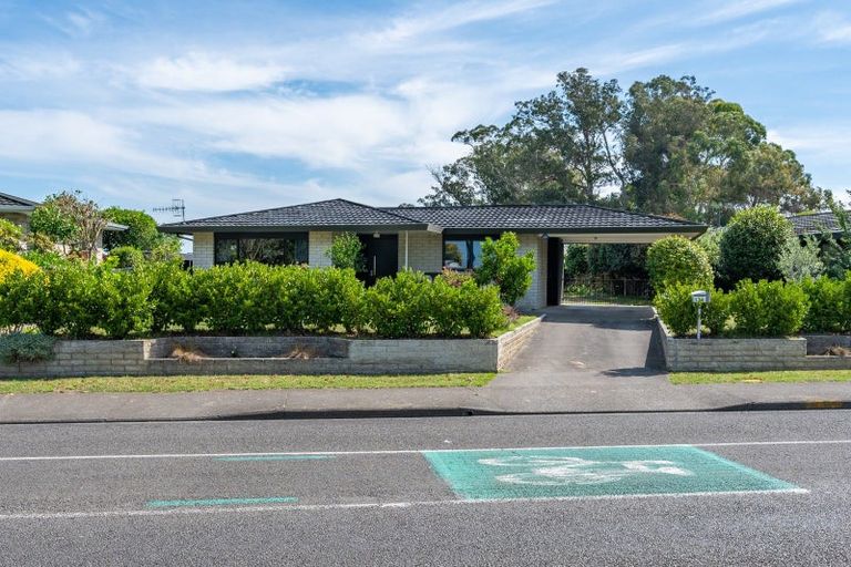 Photo of property in 173 Flaxmere Avenue, Flaxmere, Hastings, 4120