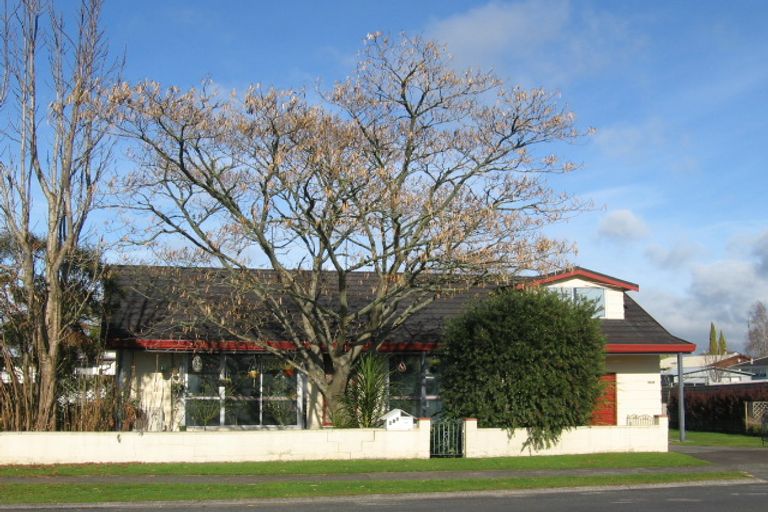 Photo of property in 411 Kahikatea Drive, Dinsdale, Hamilton, 3204