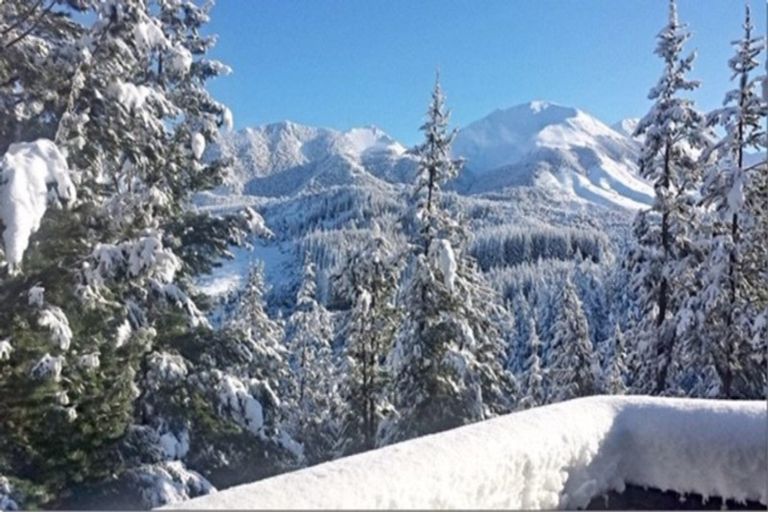 Photo of property in 74 Mount Lyford Forest Drive, Lyford, Waiau, 7395