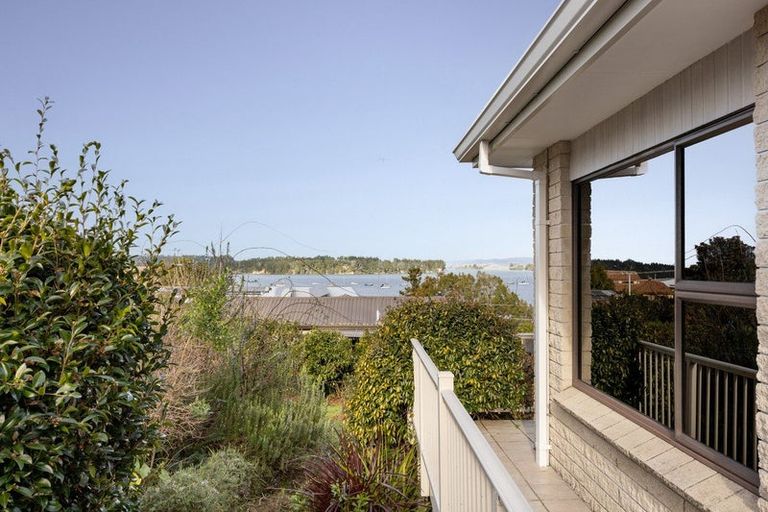 Photo of property in 96 Omokoroa Road, Omokoroa, 3114