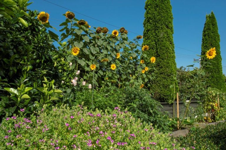 Photo of property in 153 Bellevue Road, Bellevue, Tauranga, 3110