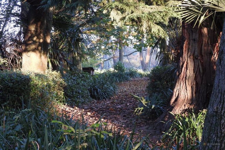 Photo of property in Ashfield, 410 Orari Station Road, Geraldine, 7992