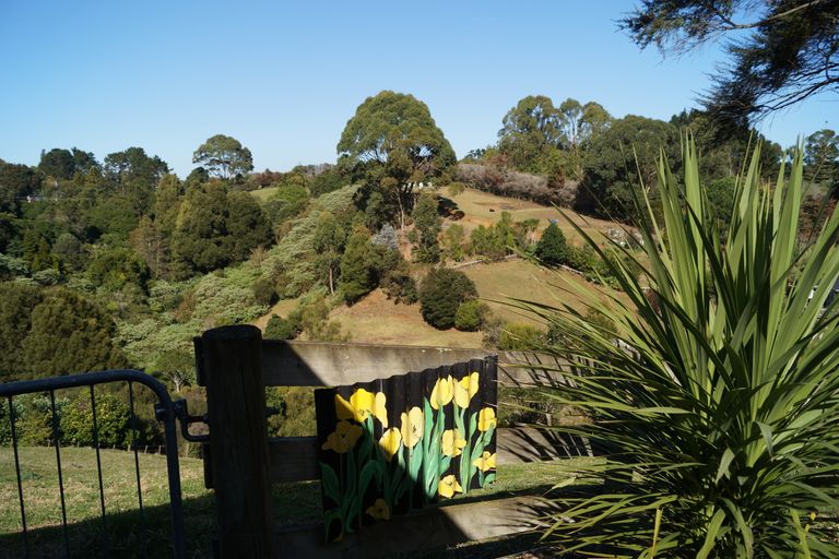 Photo of property in 167 Wymer Road, Glenbrook, Waiuku, 2681