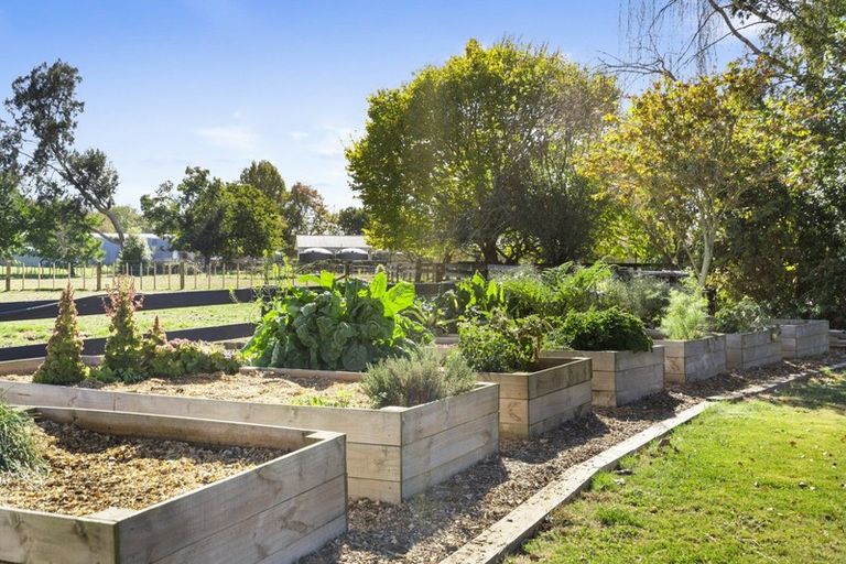 Photo of property in 66 Mill Road, Ohaupo, 3881